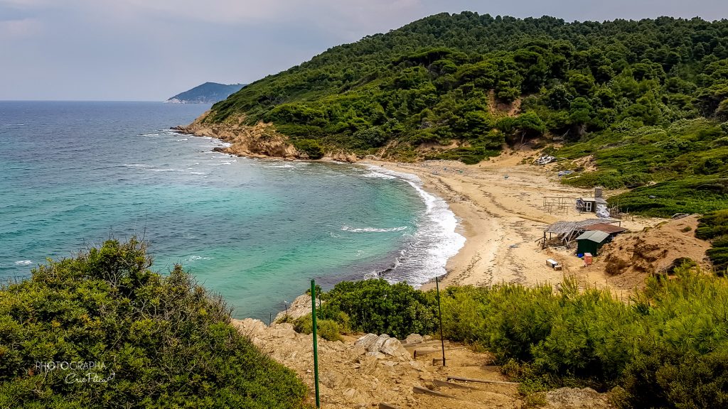 Punct de belvedere între plaja Agistros și plaja Elia, Skiathos, Grecia